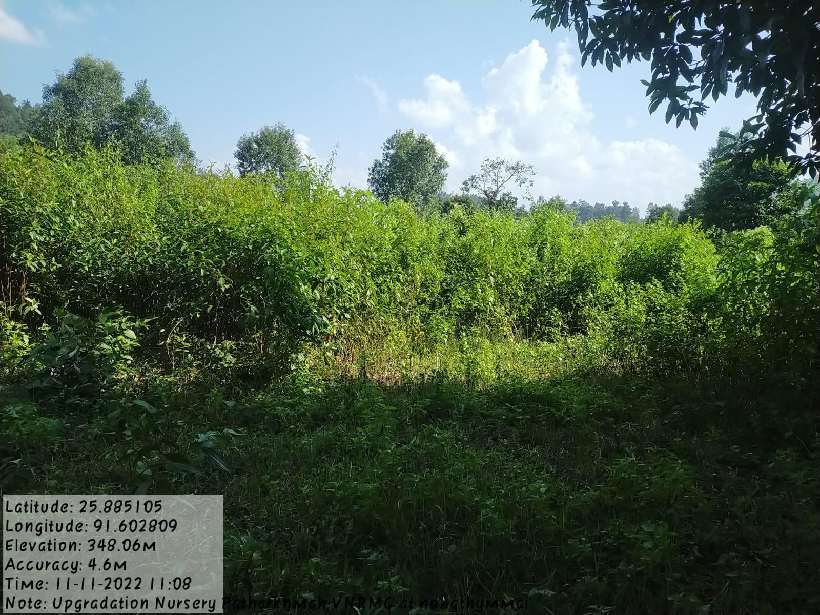 G:\patharkhmah\13. Ugradation of Nursery\IMG-20230320-WA0038.jpg